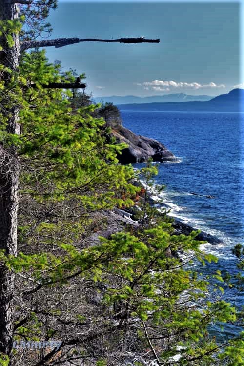 shoreline